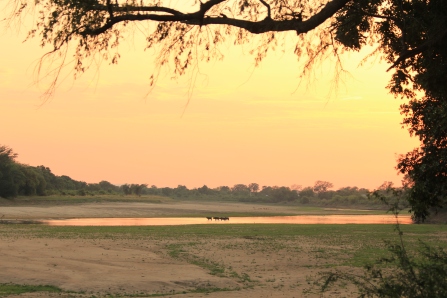 Campsite at Croc Valley Camp overlooking the Luangwa River