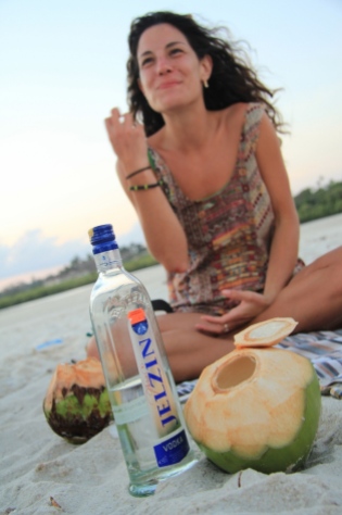 Ale and the Coconut Vodka